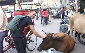 Yes Boss By Backpackers Heaven Right In Centre Of New Delhi
